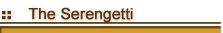 The Serengeti